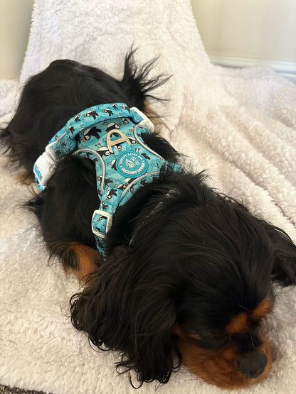 Puffin Awesome! Pembs X The Salty Spaniel -  Explorer Harness