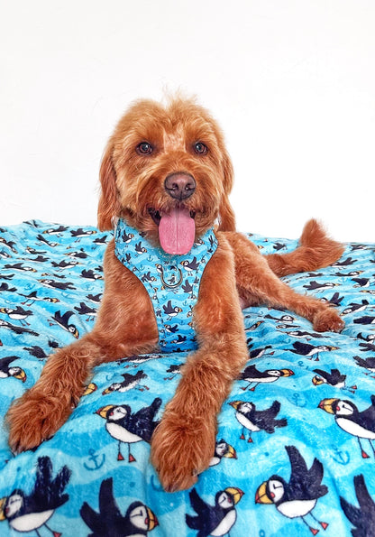 Puffin Awesome! Pembs X The Salty Spaniel - Blanket