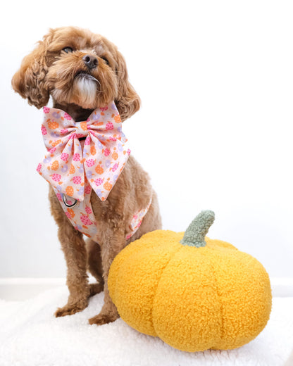 Too Cute To Spook! Harness