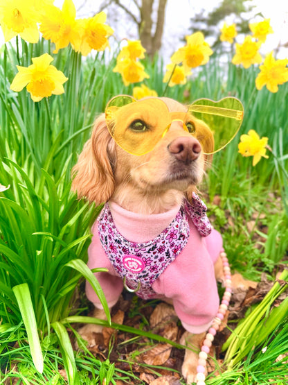 You Make Me Daff! Valentines Edition Harness