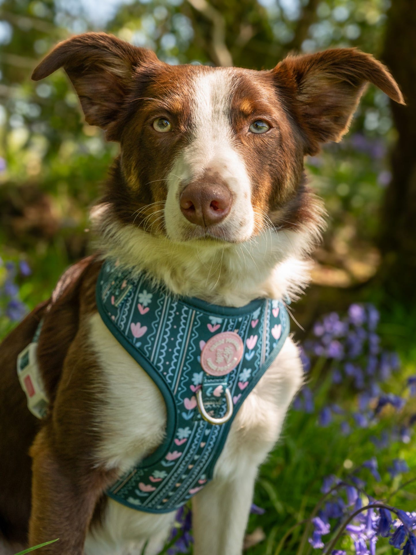 Evergreen Bloom Harness