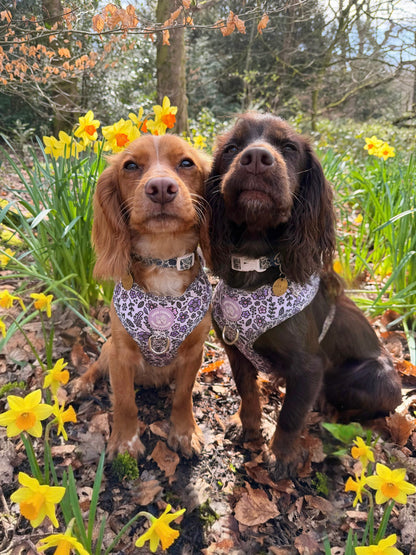 Pembs Petals Hyacinth Harness