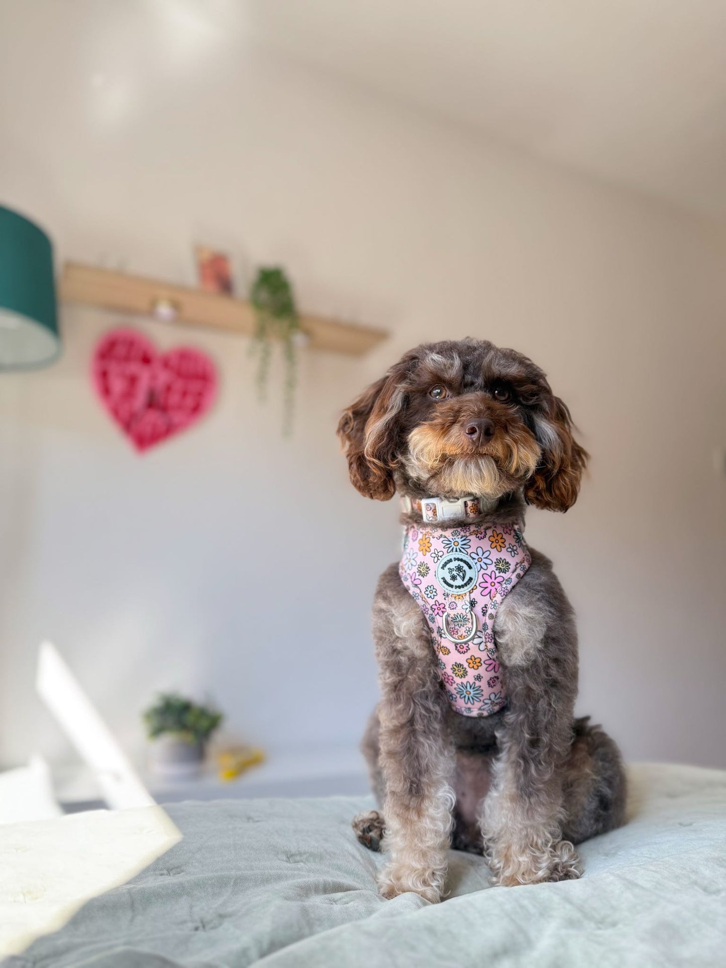 Floral Frenzy Harness
