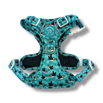 Puffin Awesome! Pembs X The Salty Spaniel -  Explorer Harness