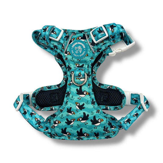 Puffin Awesome! Pembs X The Salty Spaniel -  Explorer Harness
