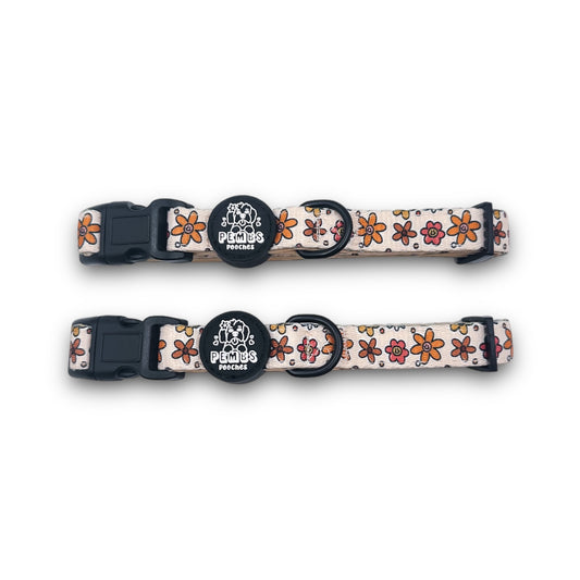 You make me daisy collar