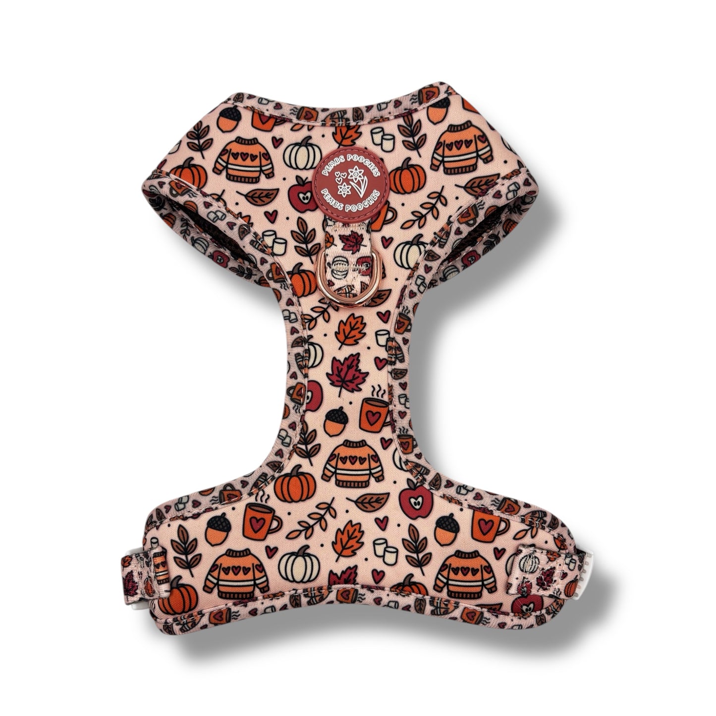 Pembs In Fall - Harness