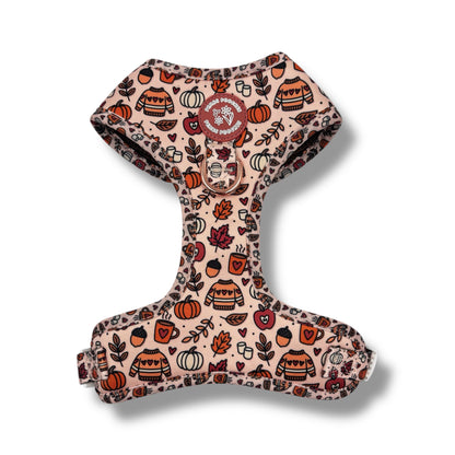 Pembs In Fall - Harness