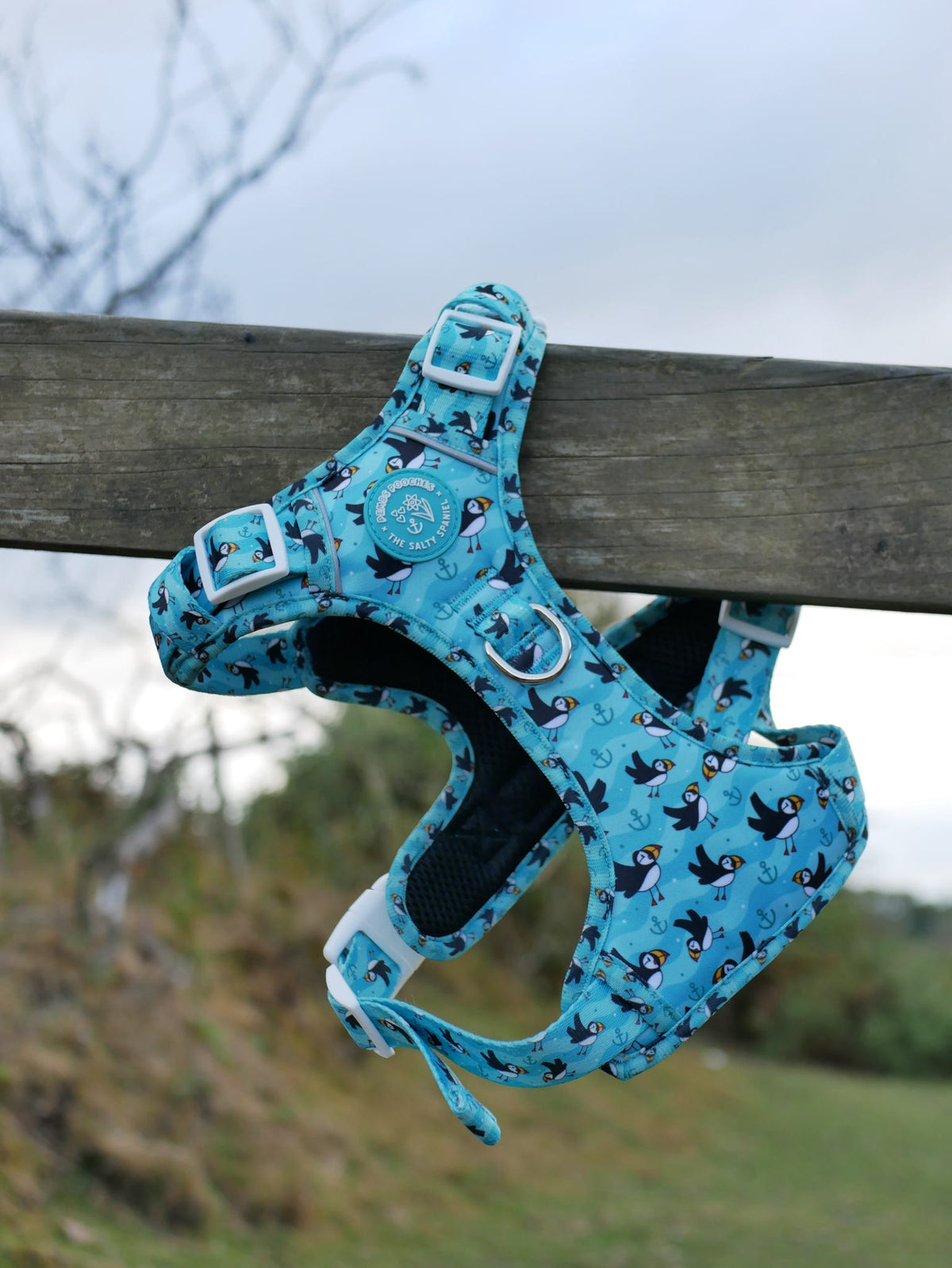 Puffin Awesome! Pembs X The Salty Spaniel -  Explorer Harness