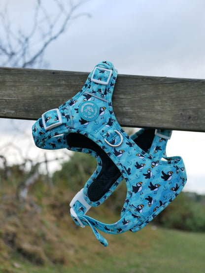 Puffin Awesome! Pembs X The Salty Spaniel -  Explorer Harness