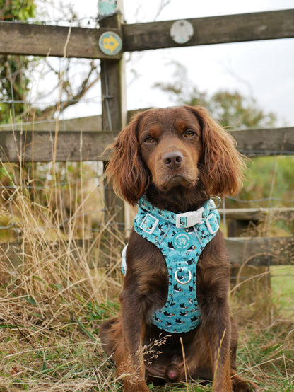 Puffin Awesome! Pembs X The Salty Spaniel -  Explorer Harness