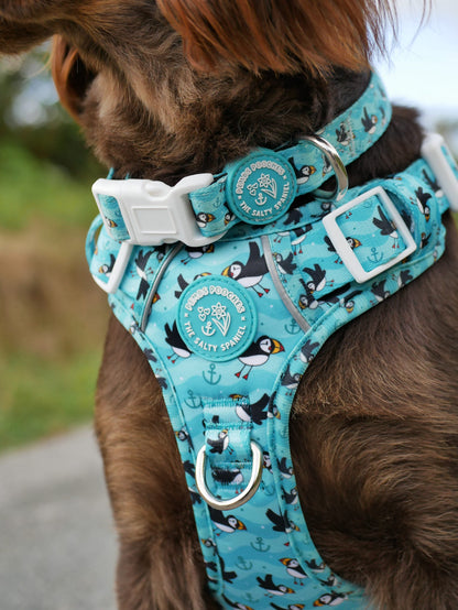 Puffin Awesome! Pembs X The Salty Spaniel -  Explorer Harness