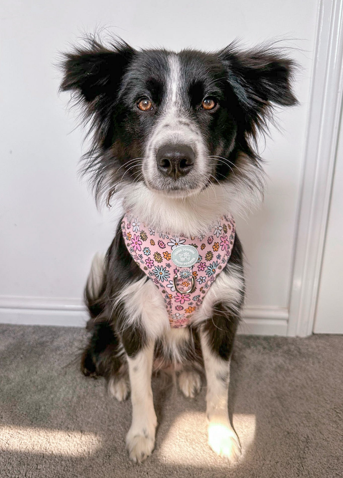 Floral Frenzy Harness