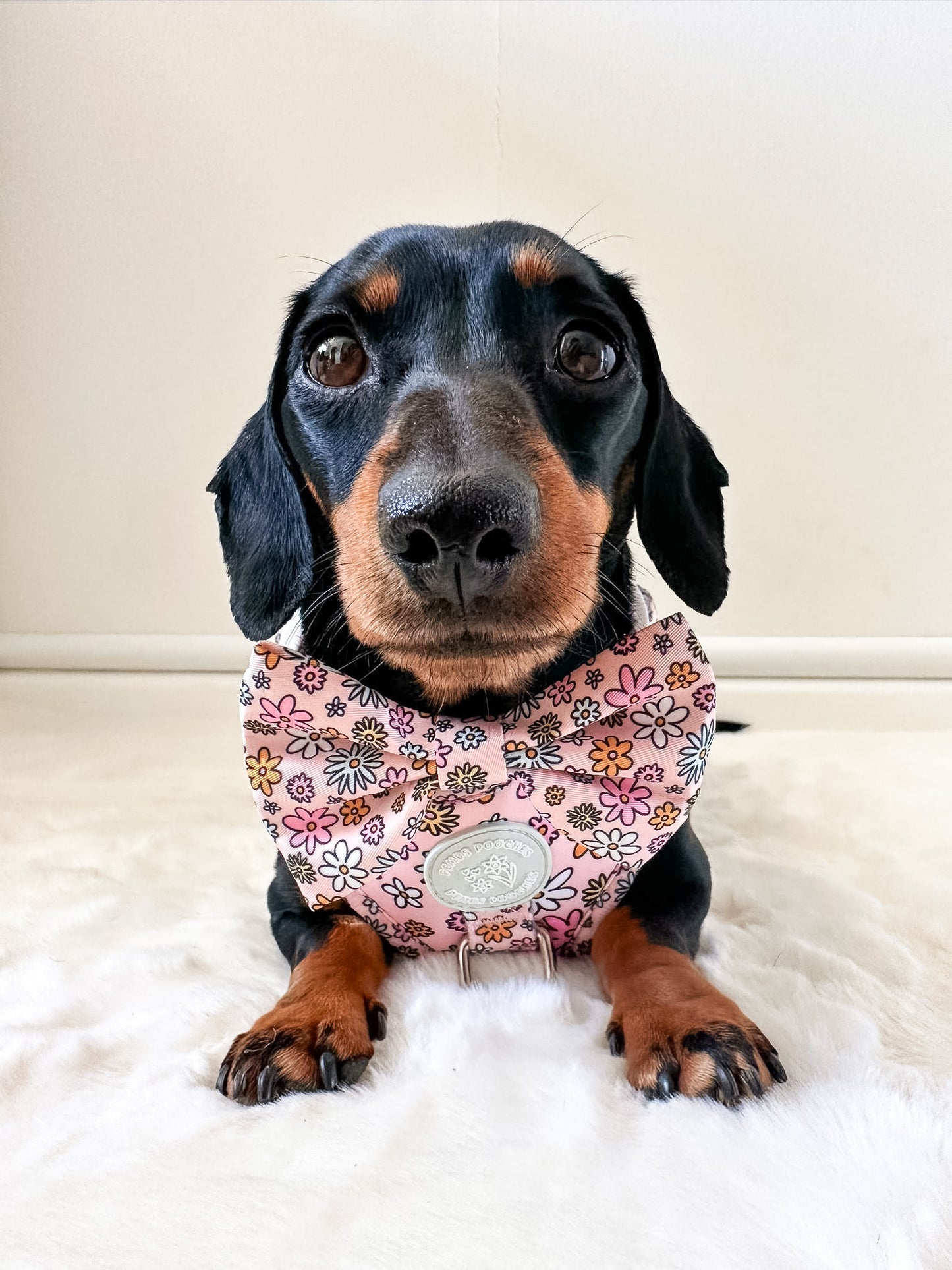 Floral Frenzy Harness